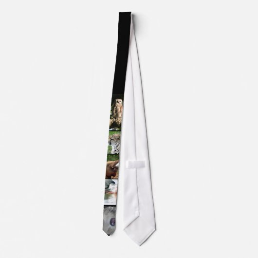 Safari-Krawatte Krawatte (Rückseite)