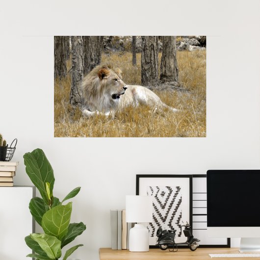 Safari - Lion Poster (Heimbüro)