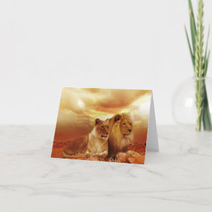 Safari Lions Grußkarte Karte