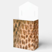 Safari Outdoor Geschenkschachtel (Geöffnet)