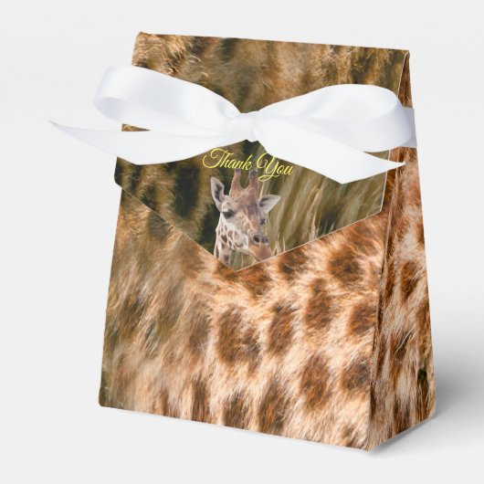 Safari Outdoor Geschenkschachtel (Vorderseite)