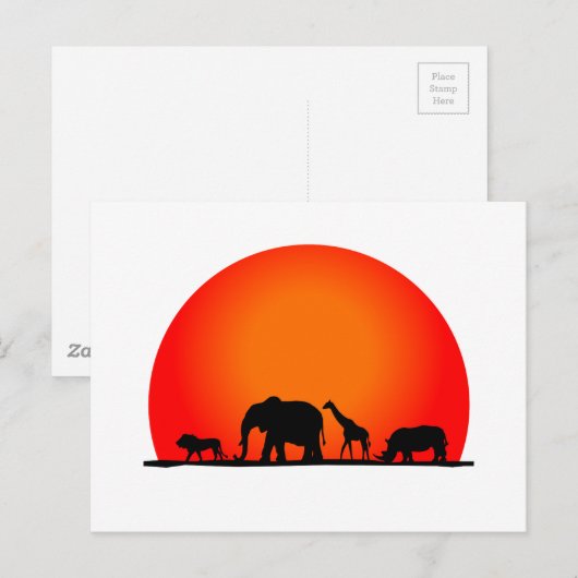 Safari Postkarte (Vorne/Hinten)