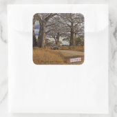 Safari Quadratischer Aufkleber (Tasche)