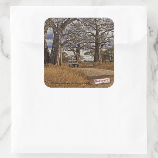 Safari Quadratischer Aufkleber (Tasche)