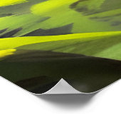 Safari Queen: Majestic African Women Red Feathers Poster (Ecke)