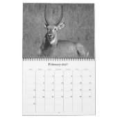 Safari schwarz-weiß 2025 kalender (Feb 2027)