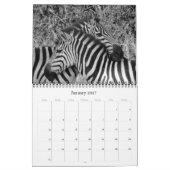 Safari schwarz-weiß 2025 kalender (Jan 2027)