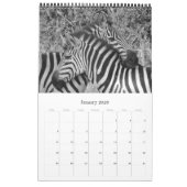 Safari schwarz-weiß kalender (Jan 2026)