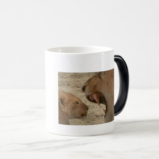 Safari Serenity: Atemberaubendes Löwenbild in der Verwandlungstasse (VorderseiteRechts)