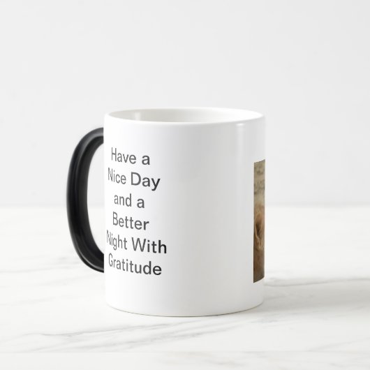 Safari Serenity: Atemberaubendes Löwenbild in der  Verwandlungstasse (Vorderseite Links)