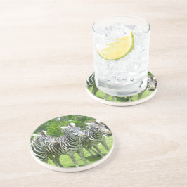 Safari Serenity: Drei Zebras Lion Country Safari Getränkeuntersetzer