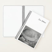 Safari Sketchbook-Notebook Notizblock (Innen)