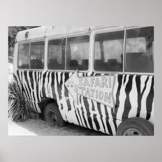 Safari Station Zebra Streifenbus Poster (Vorne)