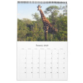 Safari Südafrika 2025 Kalender (Jan 2026)