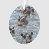 Safari-Verzierung 1 Ornament (Vorderseite)