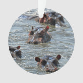 Safari-Verzierung 1 Ornament (Vorderseite)