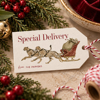Safari-Weihnachtsgeschenkanhänger Speziallieferung Geschenkanhänger