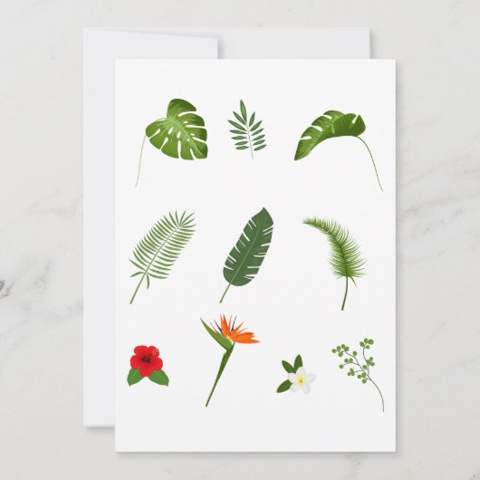 Safari Wild One Geburtstag Einladung (Rückseite)