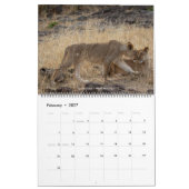 Safari Wildlife 2026 Wall Calendar (Big Five & Bey Kalender (Feb 2027)