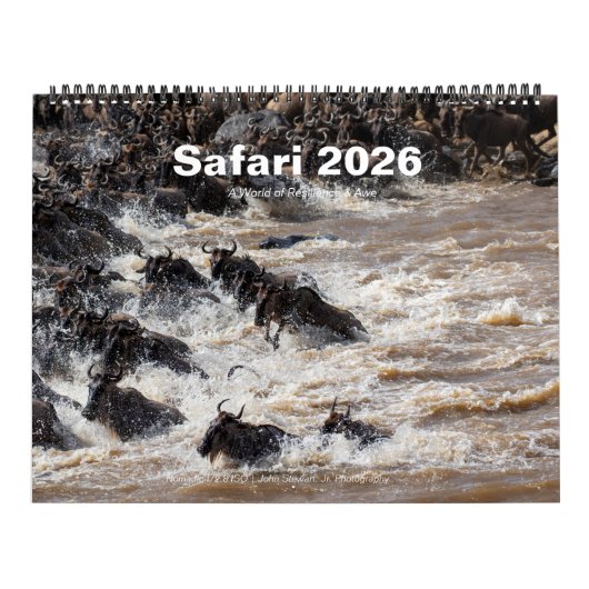 Safari Wildlife 2026 Wall Calendar (Big Five & Bey Kalender (Titelbild)