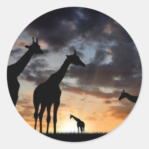 Safari-Wildtiergiraffe Silhouette Runder Aufkleber