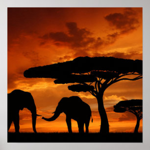 Safariafrikanische Baobabbaum-Elefant-Silhouette Poster