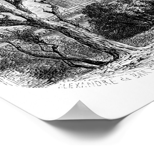 Safdarjung's Grab Poster (Ecke)