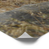 Safe Harbor Poster (Ecke)