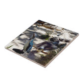 Safe Haven: Fairy Pinguin Paradise, Fliese (Seite)