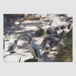 Safe Haven: Fairy Pinguin Paradise, Seidenpapier