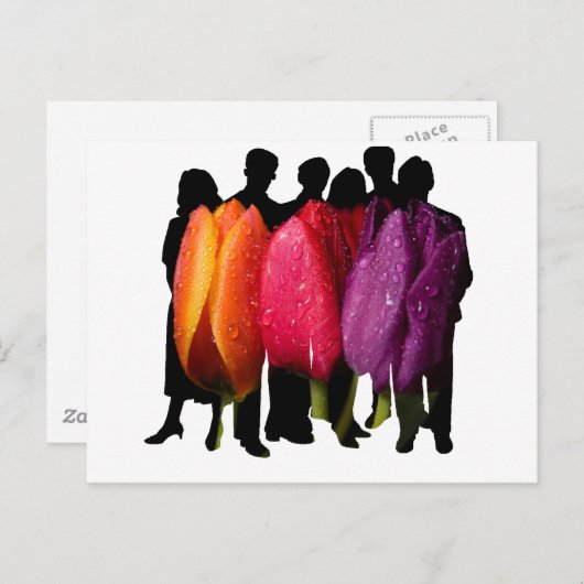 SAFE HAVEN POSTKARTE (Vorne/Hinten)