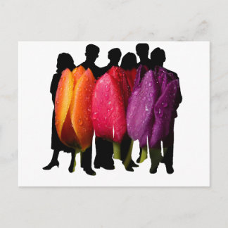 SAFE HAVEN POSTKARTE