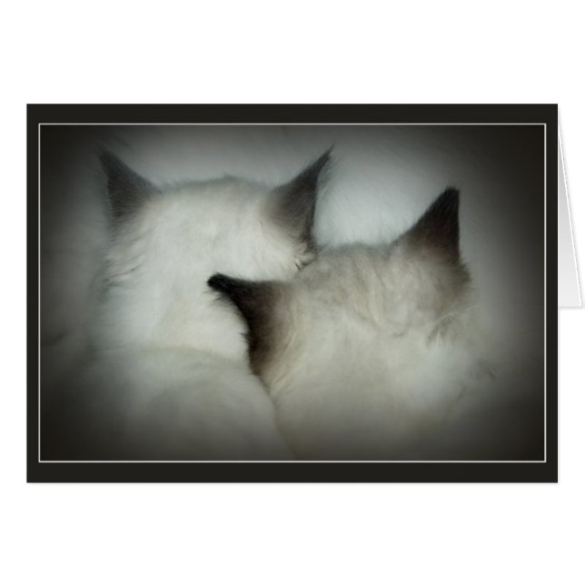 Safe u. Ton (Vorderseite (Horizontal))