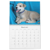 Safe übergibt Kalender 2015 (Mär 2027)