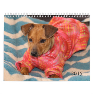 Safe übergibt Kalender 2015