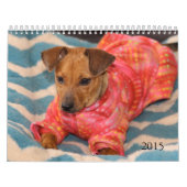 Safe übergibt Kalender 2015 (Titelbild)