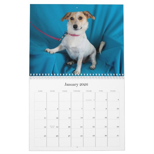 Safe übergibt Kalender 2015 (Jan 2026)