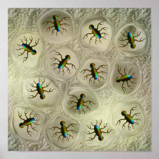 Safety Poster (Vorne)