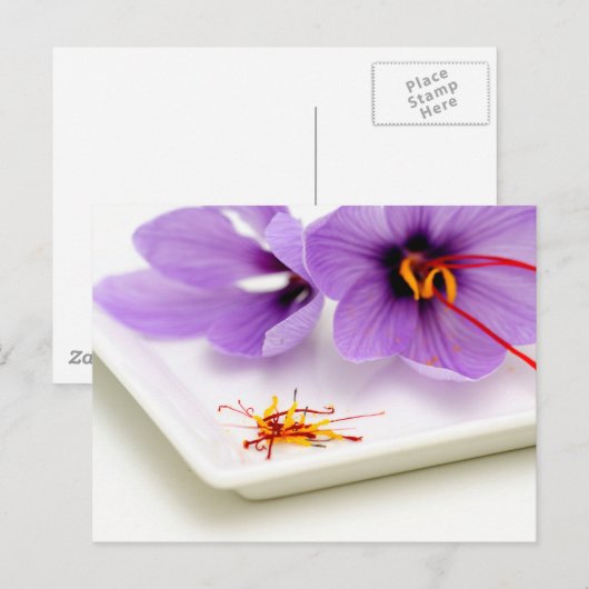 Saffron Blume Postkarte (Vorne/Hinten)