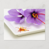 Saffron Blume Postkarte (Vorderseite)