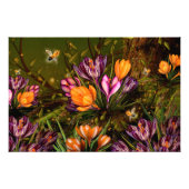 Saffron Crocus Fotodruck (Vorne)