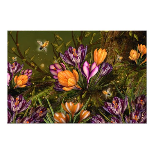 Saffron Crocus Fotodruck (Vorne)