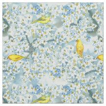 Saffron Finch Warbler Vögel blühende Obstbaum