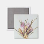 Saffron oder Crocus von "La Guirlande de de Julie" Magnet (Vorderseite/Rückseite)
