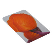 Saffron Turban 2014 Magnet (Rechte Seite)