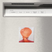 Saffron Turban Magnet (In Situ (Geschirrspüler))