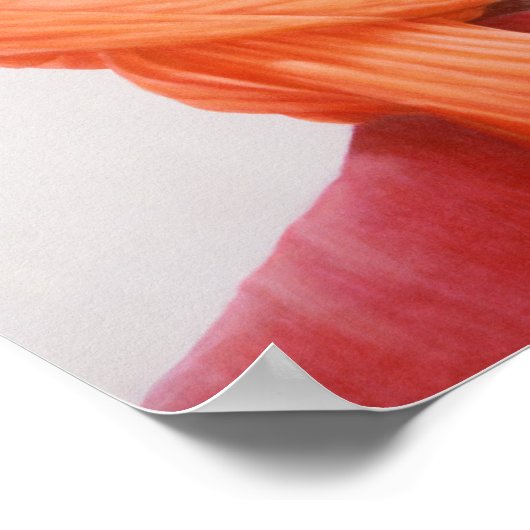 Saffron Turban Poster (Ecke)