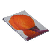 Safran-Turban 2014 Notizblock (Rechte Seite)