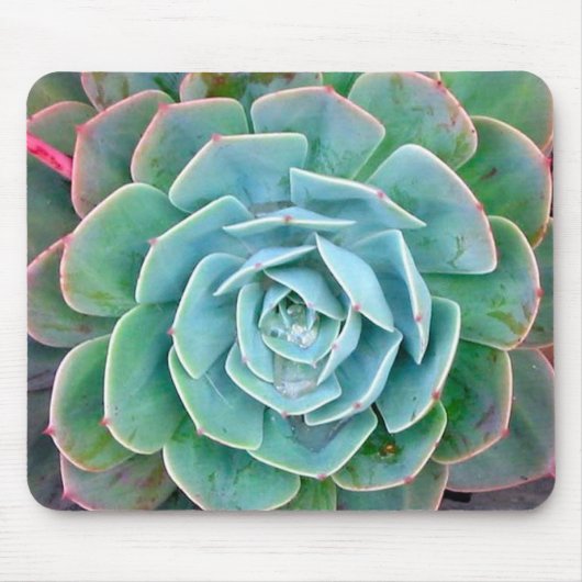 Saftig Mousepad (Vorne)