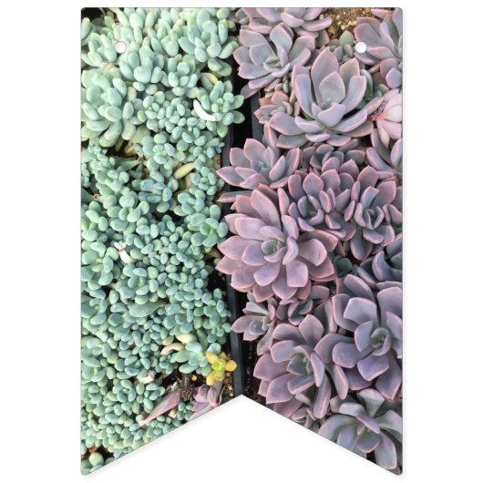 Saftige Fahne Wimpelkette (Zweite Fahne)